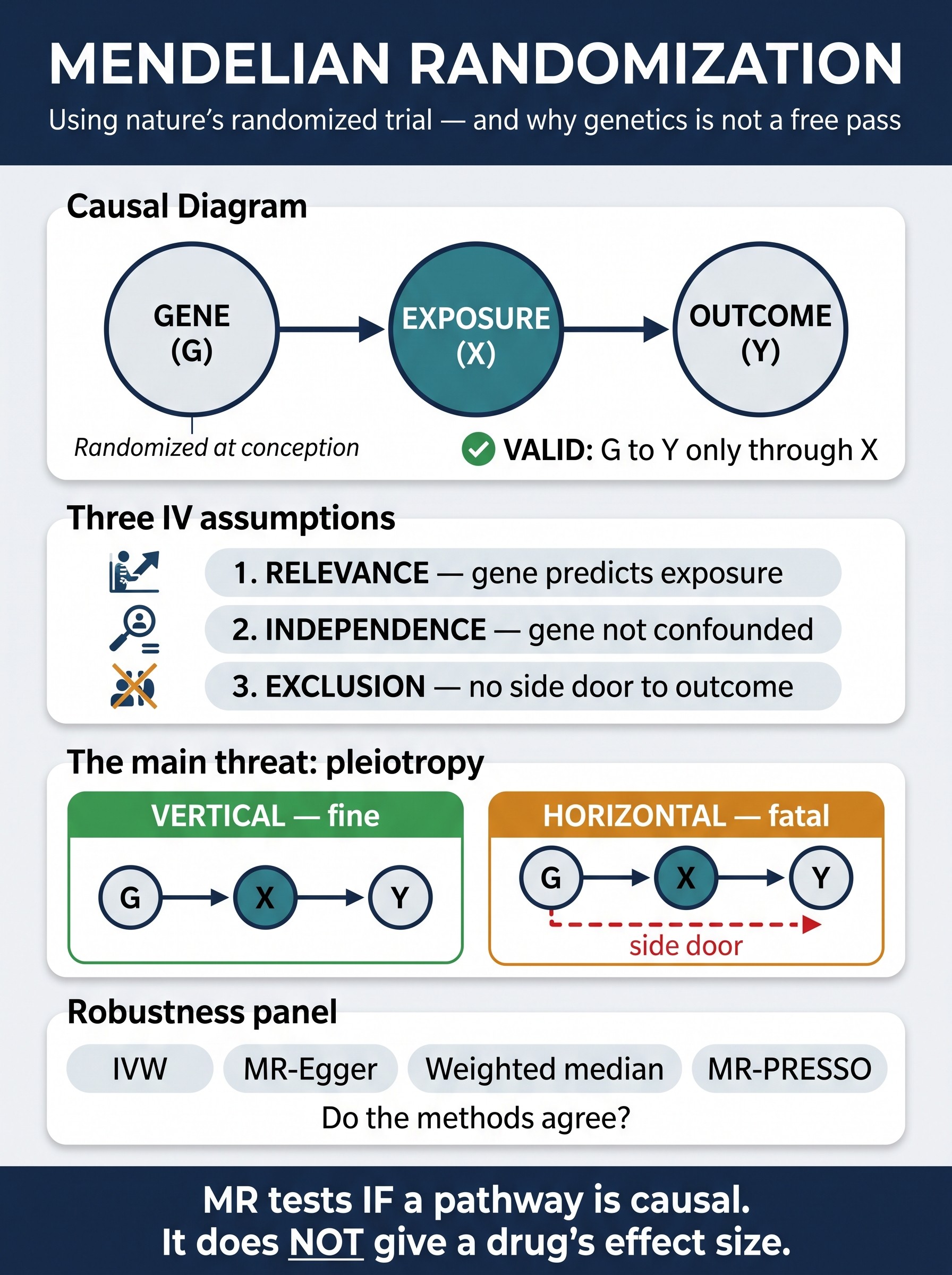 Mendelian Randomization in Clinical Research Visual Guide