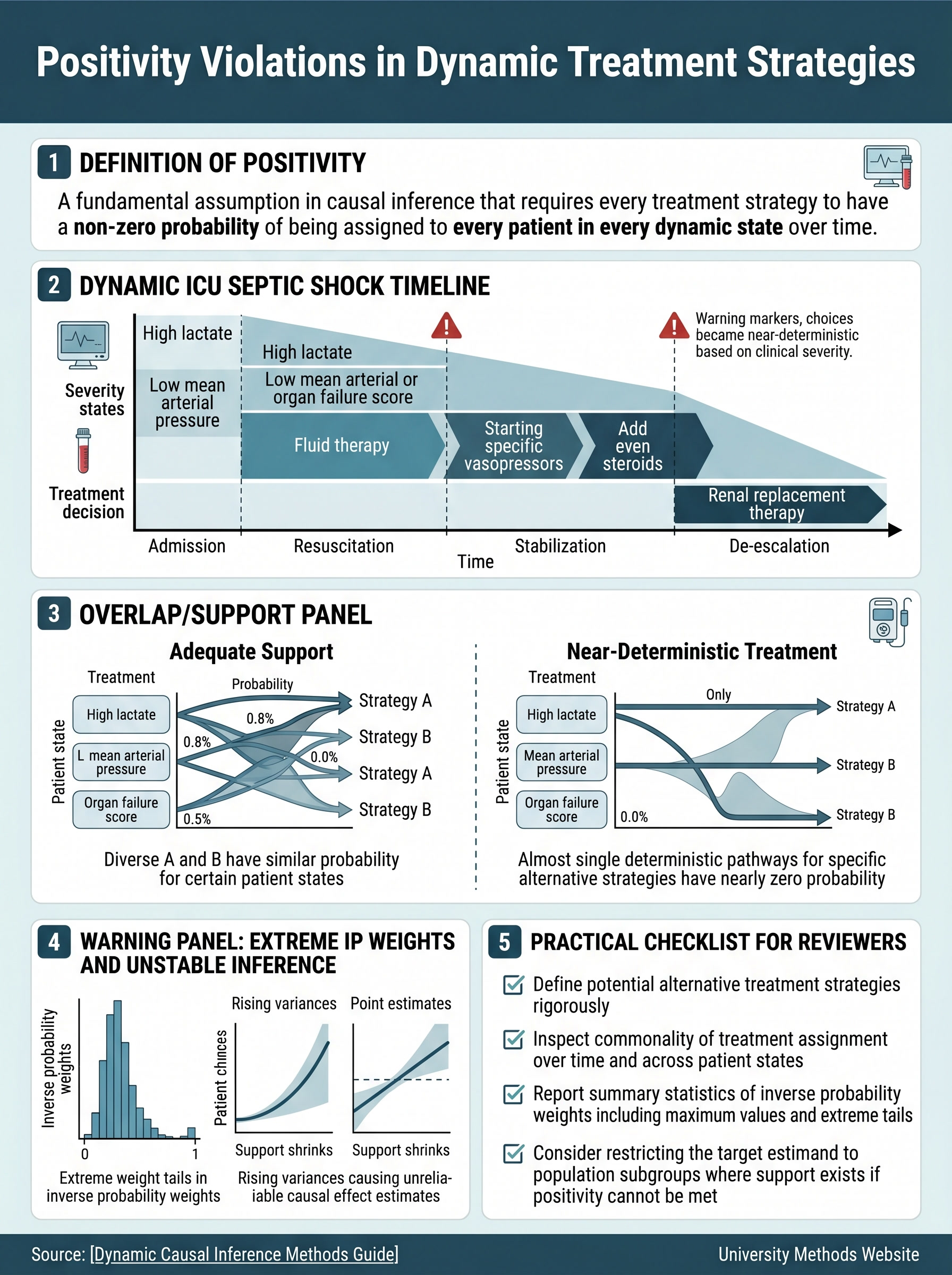 Positivity Violations in Dynamic Treatment Strategies Visual Guide