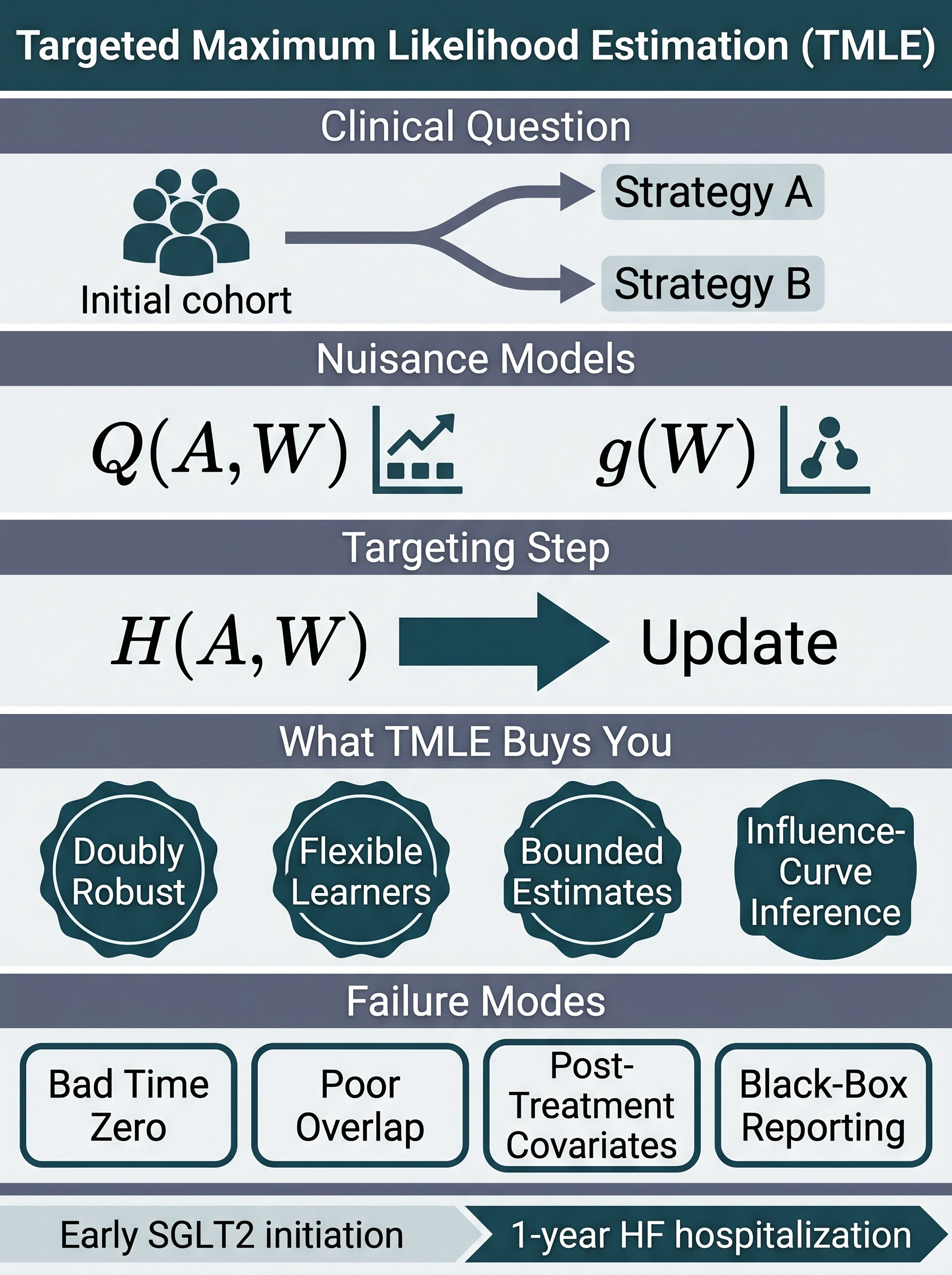 Targeted Maximum Likelihood Estimation in Clinical Research Visual Guide